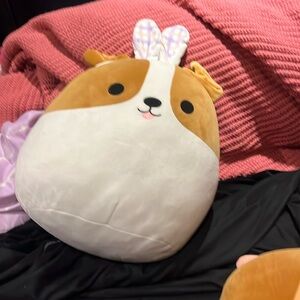It is a Easter dog and it is a squish, mellow